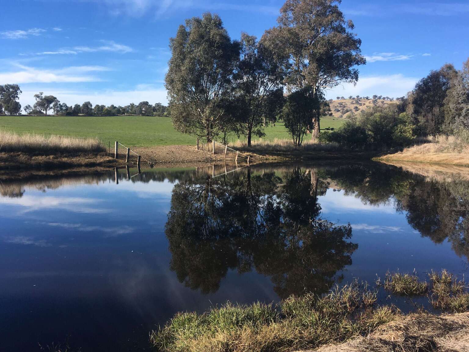 Farm Dam Enhancement brochure – ANU Sustainable Farms