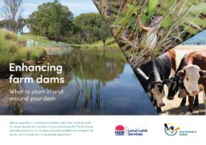 What to plant in and around your dam – ANU Sustainable Farms