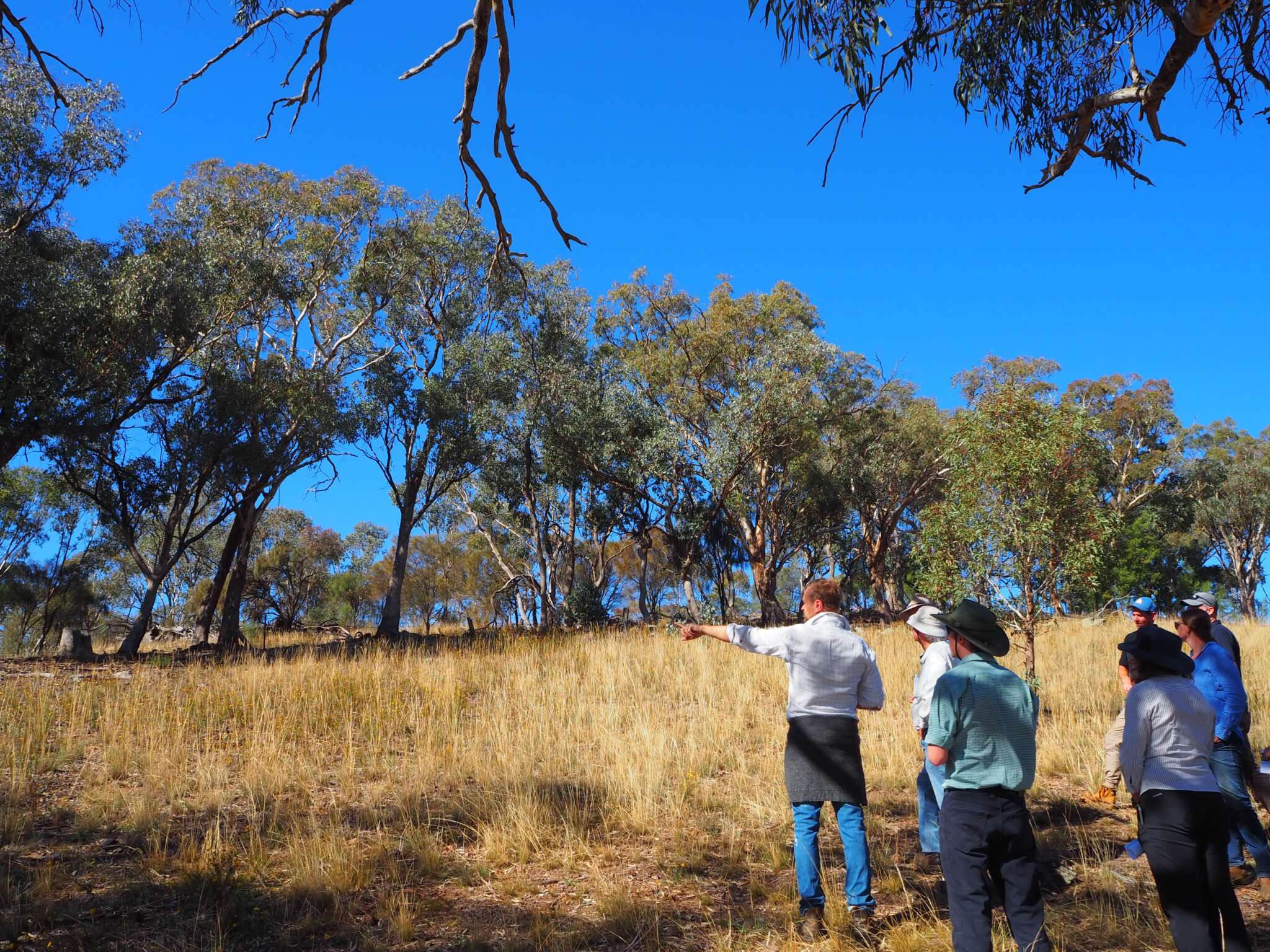 Farming With Benefits Field Day ANU Sustainable Farms