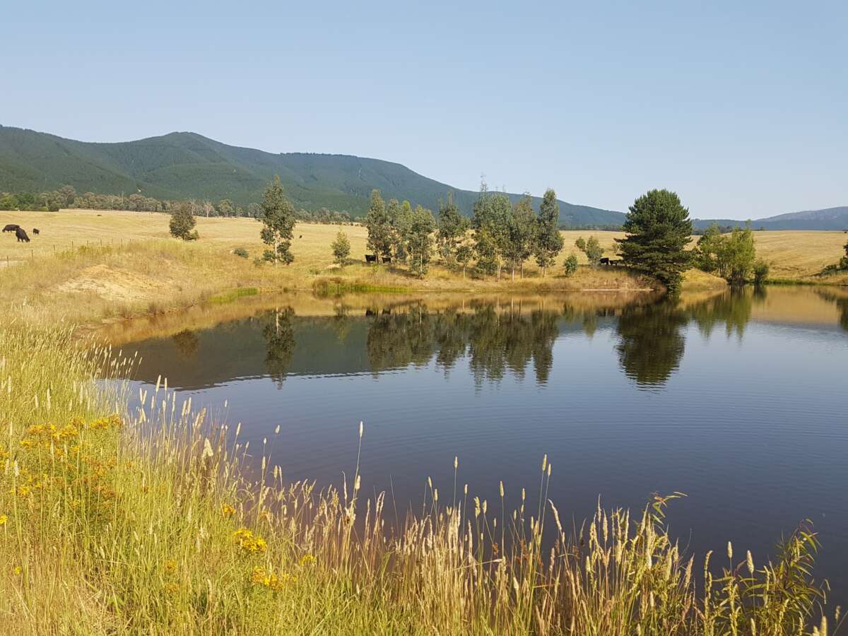 Enhance farm dams – ANU Sustainable Farms