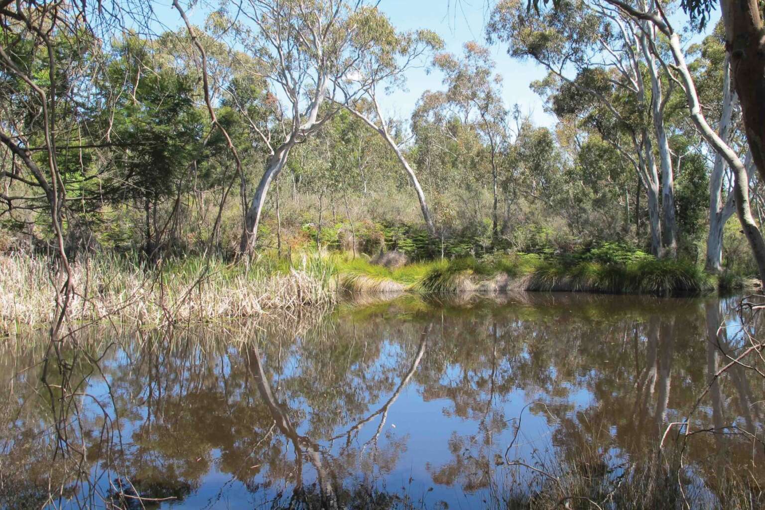 The multiple benefits of wildlife-friendly dams - Rushworth VIC – ANU ...