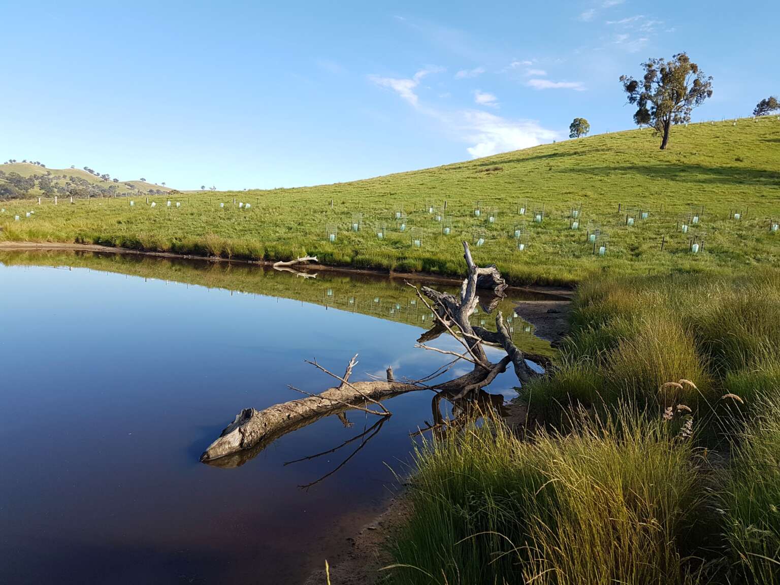 Farm Dams 